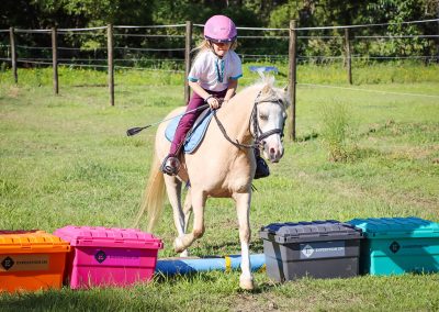tack boxes for show jumping