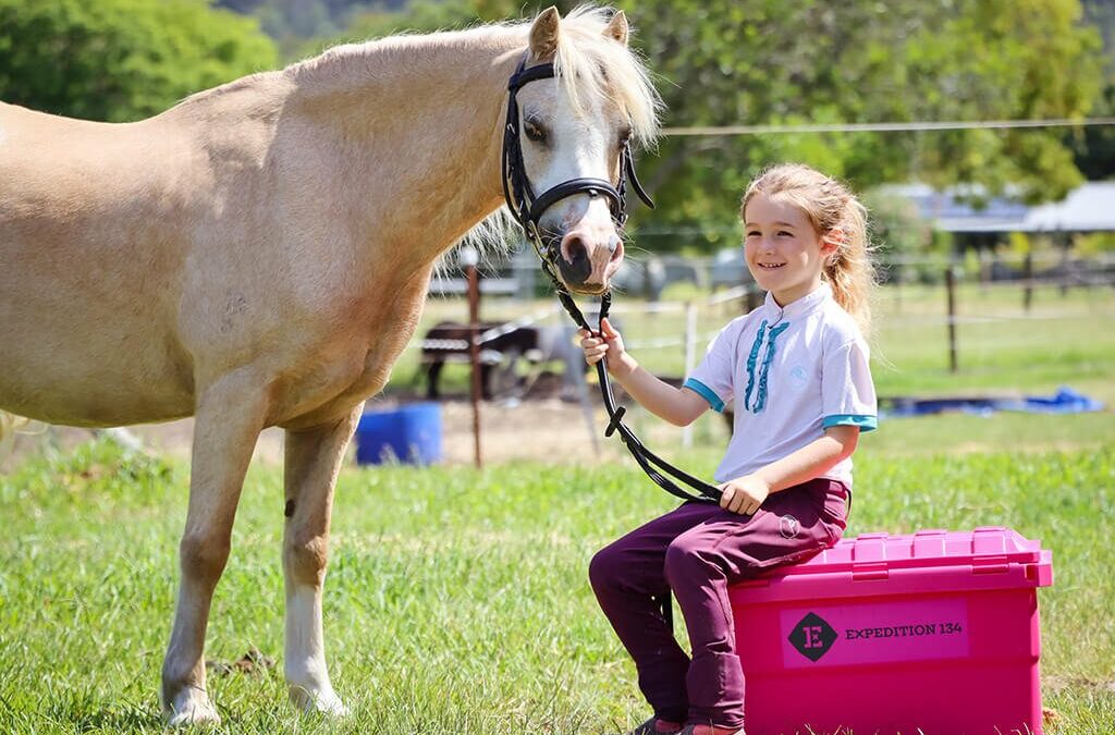 Must Have Items to Keep in the Horse Tack Box