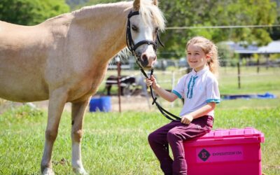 Must Have Items to Keep in the Horse Tack Box