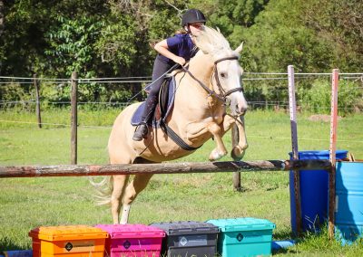 show jumping over tack storage boxes