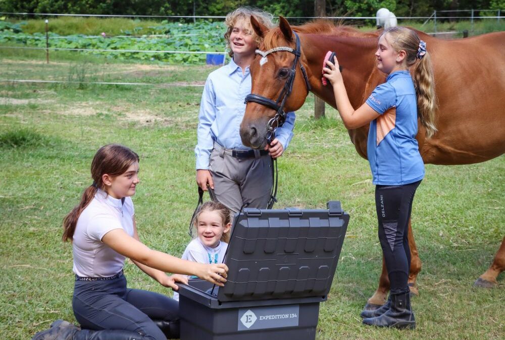 Smart Tack Box Organising Tips