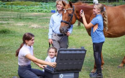 Smart Tack Box Organising Tips